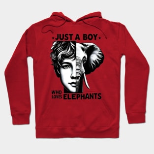 Majestic Boys Encounter Hoodie